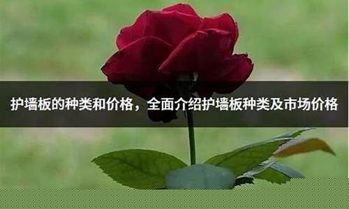 护墙板的种类和价格-护墙板简介