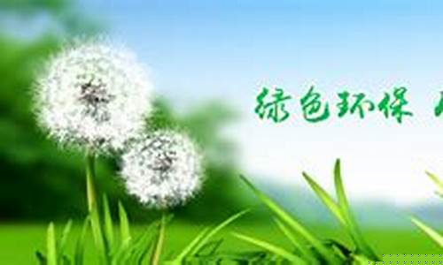 厦门熏蒸消毒公司-厦门免熏蒸木箱