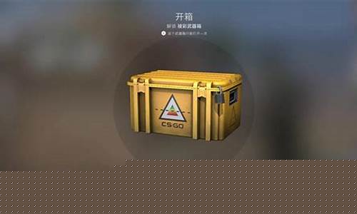 完美世界楠木箱子-完美世界 粗木料